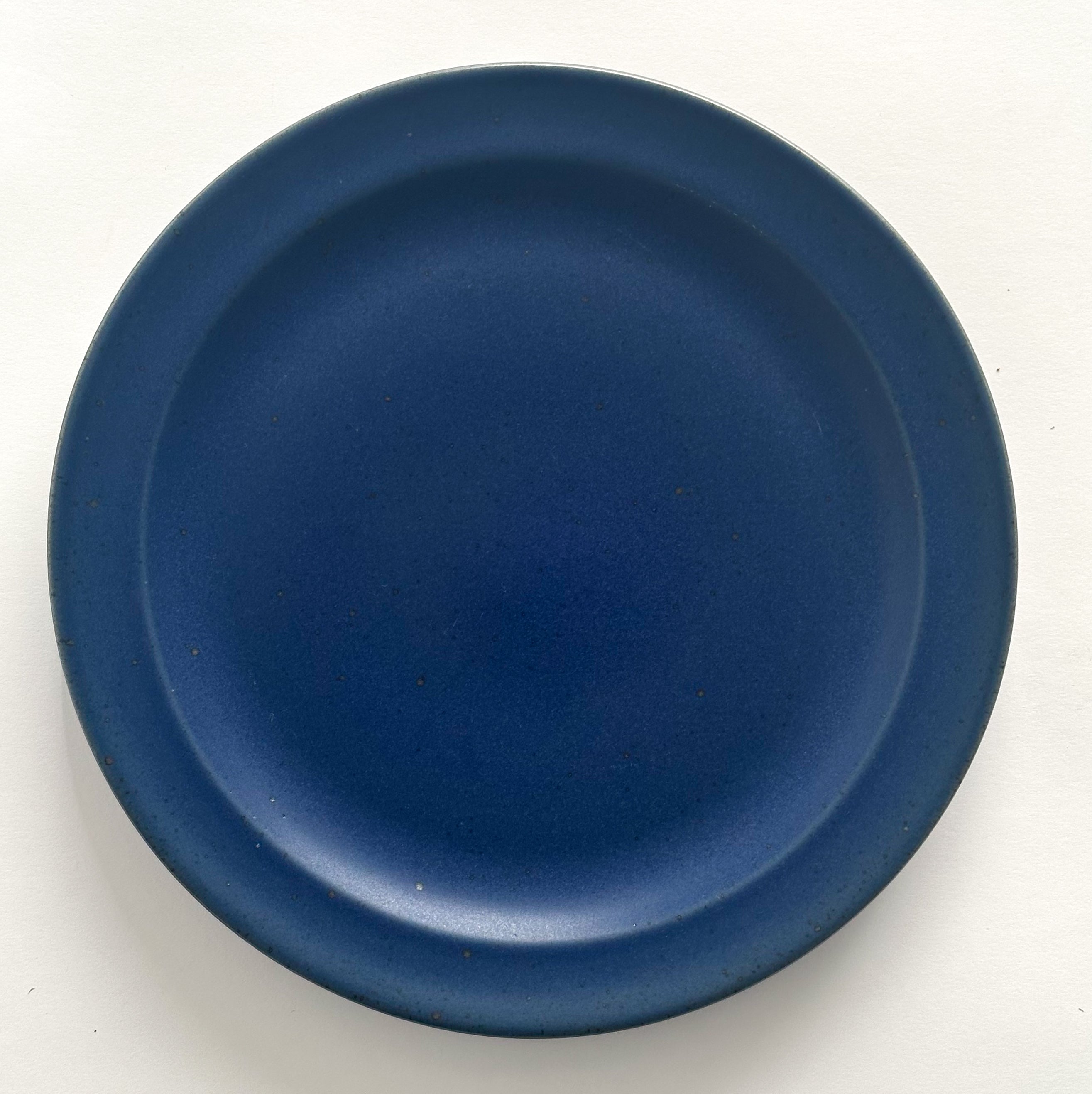 Dark blue hotsell dinner plates